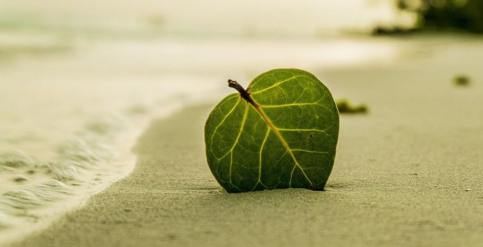 Psychotherapie bei Atemwegserkrankungen