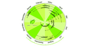 Pollen-im-Jahresverlauf21