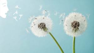 Symbolbild Pollenallergie: niesende frau und Blütenpollen, Credit: Canva