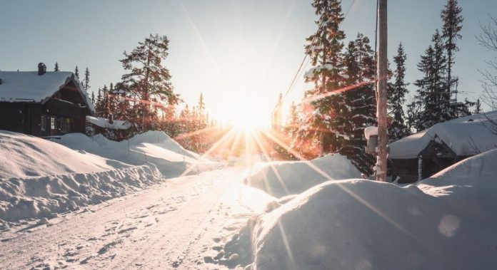 Vitamin D tanken: Winterlandschaft bei strahlendem Sonnenschein, Photo by Gustav Lundborg from Pexels