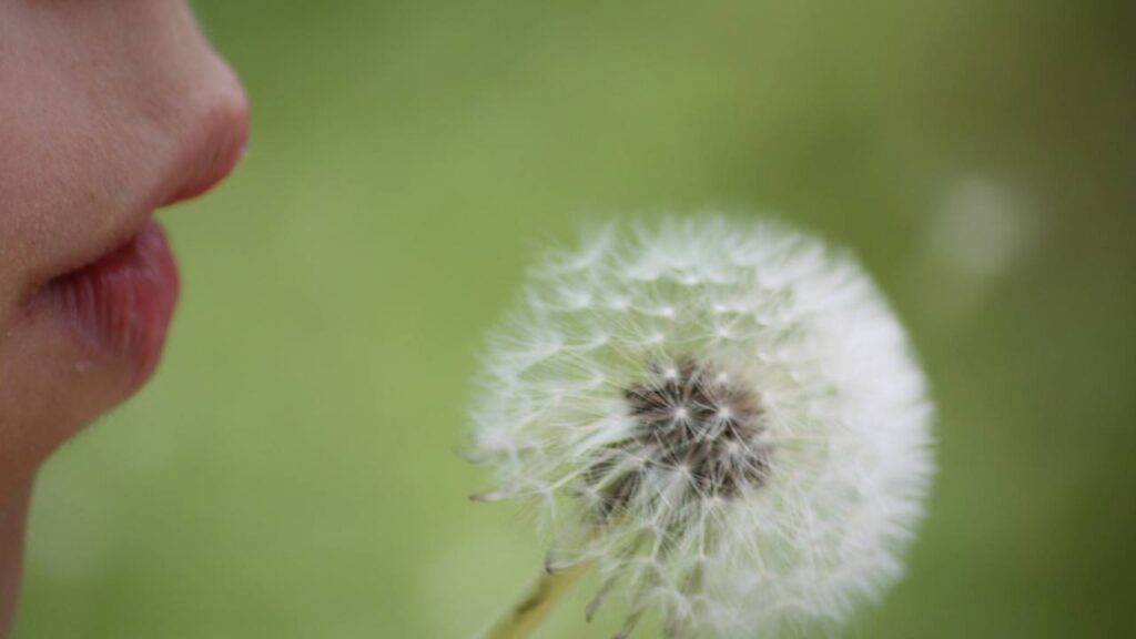 Online Atem- und Inhalationstraining