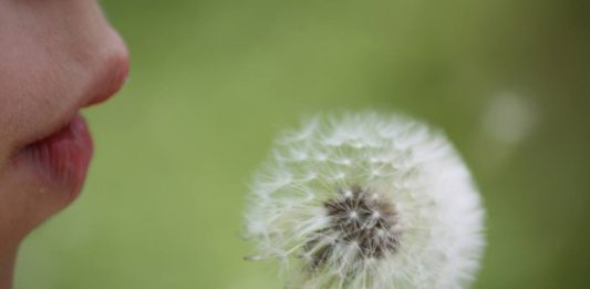 Online Atem- und Inhalationstraining