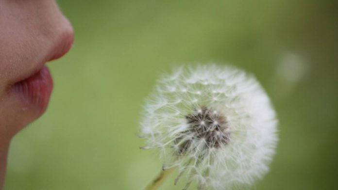 Online Atem- und Inhalationstraining