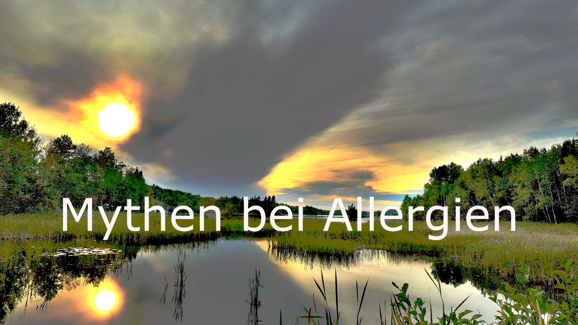 Experten im Talk: Mythen bei Allergien