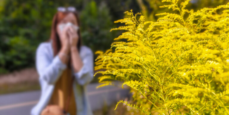 Pollen im Klimawandel – Veränderung des Allergenbildes in Österreich