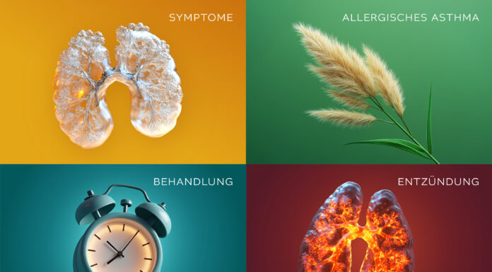 Fokus Mildes Asthma  – Schulung und Aufklärung