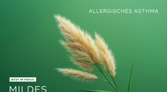 Allergisches Asthma Allergie mildes Asthma